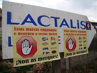 LACTALIS a ruína ao sector leiteiro galego