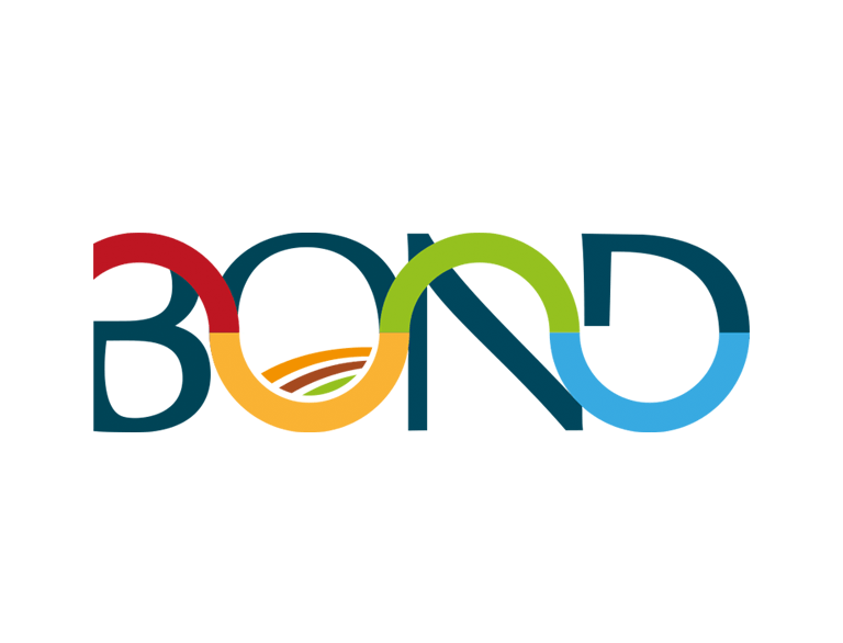 Xornada BOND online