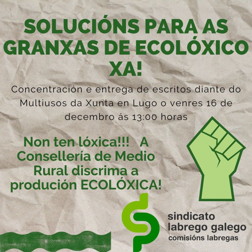 Lugo16d