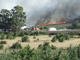 Incendio