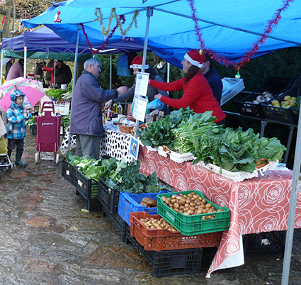 Mercado de Teo