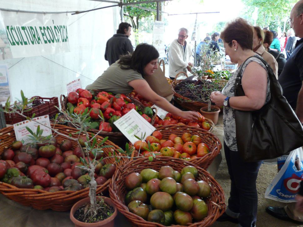 Mercado en Compostela