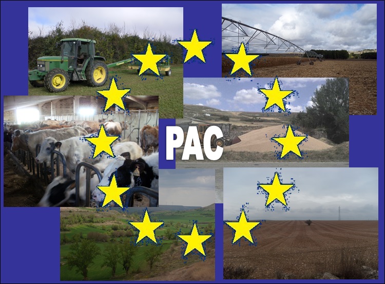 PAC