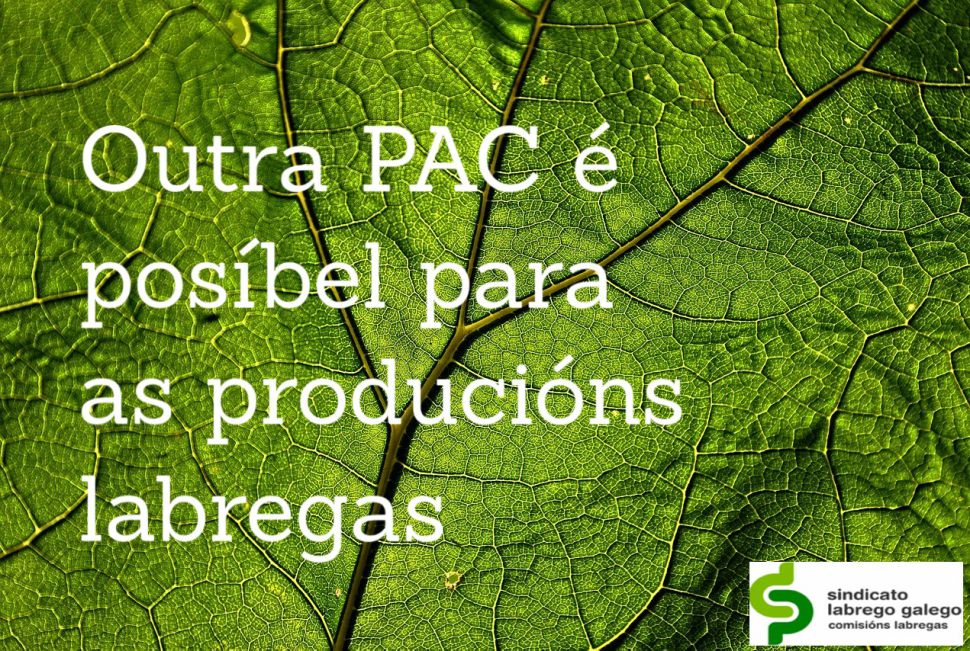 Outra pac é posíbel