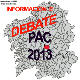 DEBATE INFORMATIVO PAC CHANTADA
