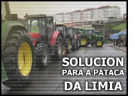 Pataca de semente