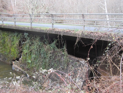 Ponte da Regada