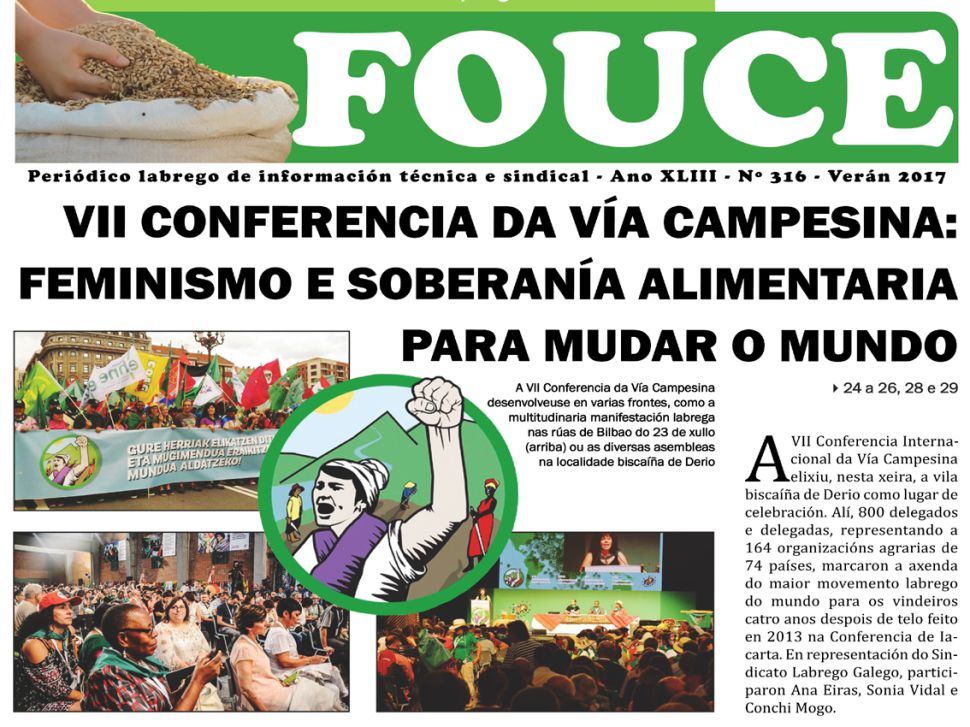 Fouce 316