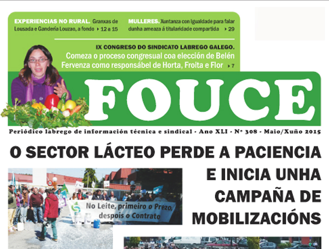 Fouce 308