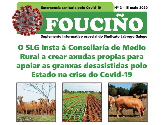 Fouciño covid 2