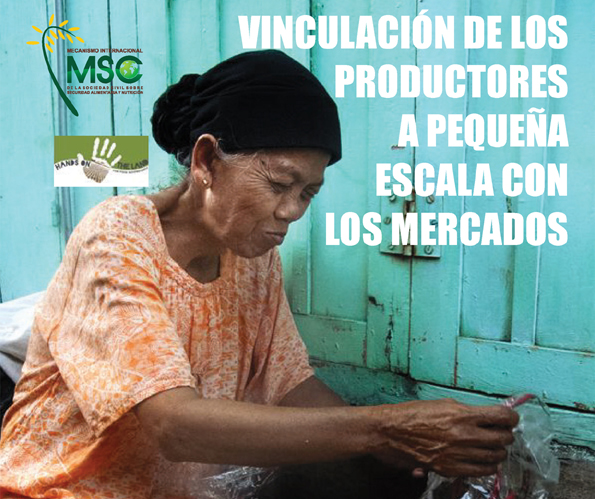 guía mercados locais