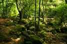 montes da galiza