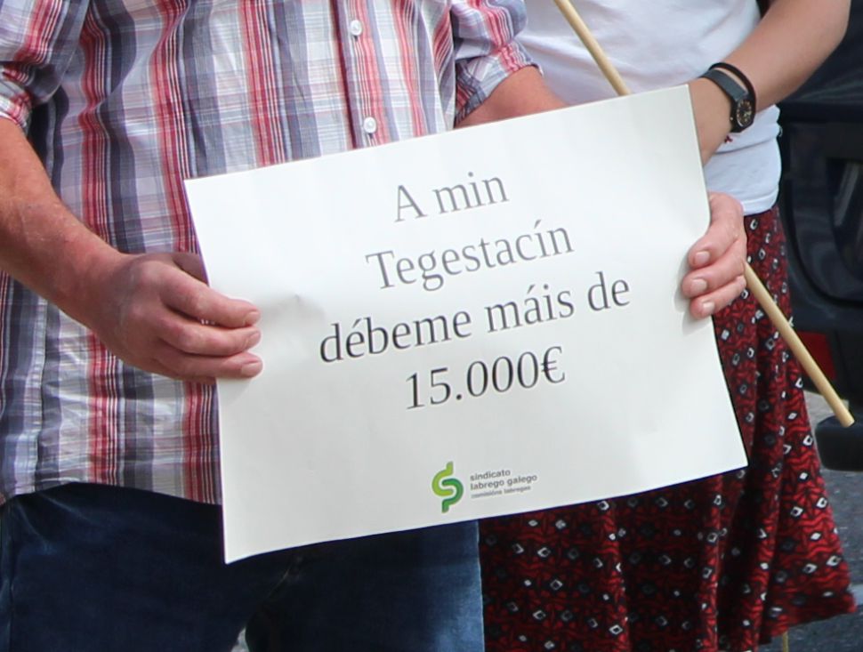 tegestacín web