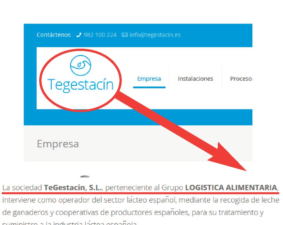 Tegestacin