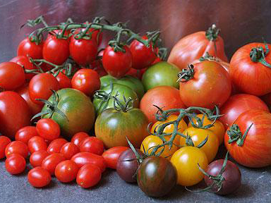 Tomates