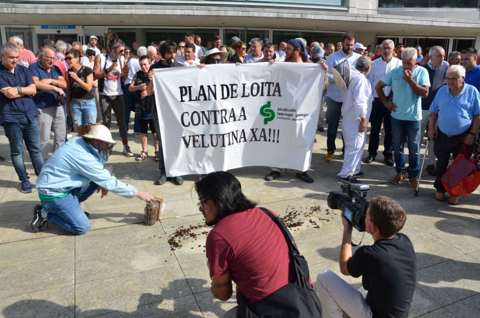 VelutinaLugo111023