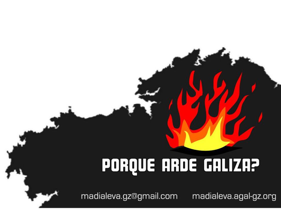 Palestra Madia Leva
