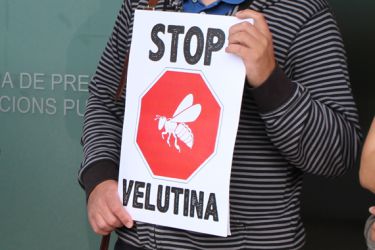 Plataforma STOP Velutina