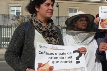 Concentración apícola