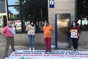 Concentración Ferrol