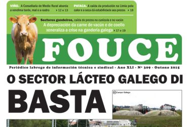 Fouce 309