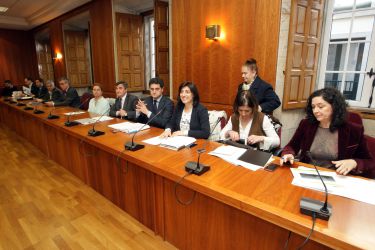 Consello forestal