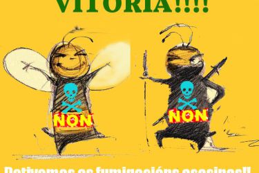 Abellas ninja