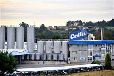 Leche Celta