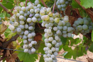Rias Baixas