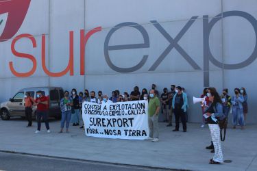 surexpor180821