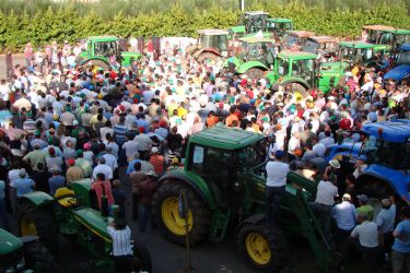 non por embaixo de custos de produción