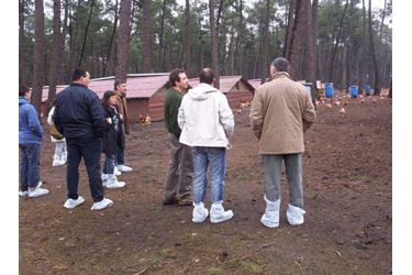 Campamento de avicultura en Francia