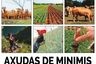 Axudas de minimis