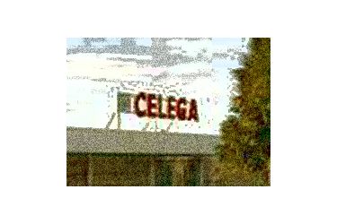 Celega