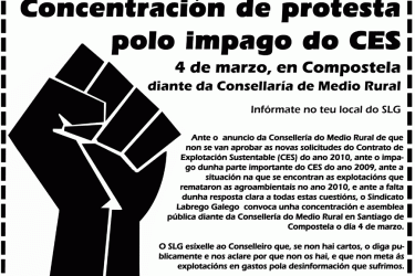 Concentración CES