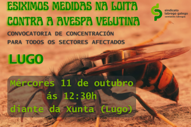 CartazVelutinaLugo