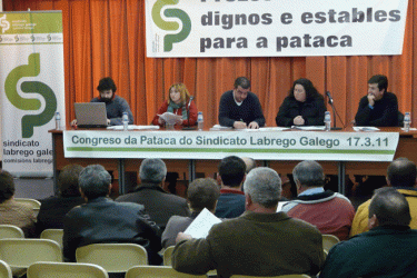 Congreso da Pataca
