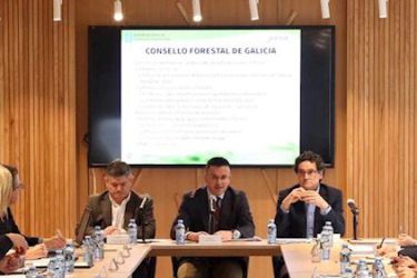 Consello Forestal de Galicia