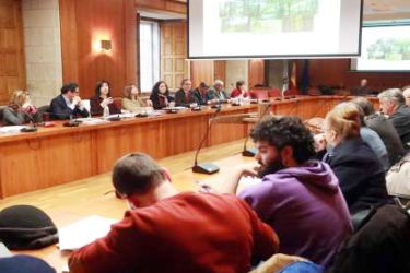 Consello Forestal