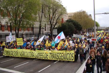 Manifestación contra OXM