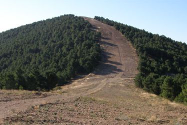 Cortalumes