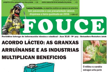 Fouce 313