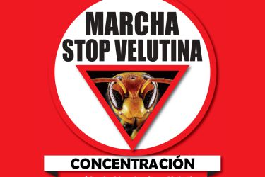 Marcha Stop Velutina