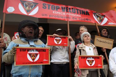 Marcha STOP Velutina