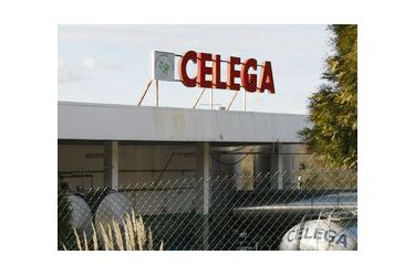 Celega