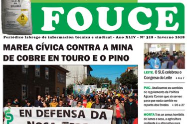 Fouce 318