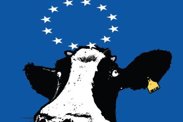 Vaca UE