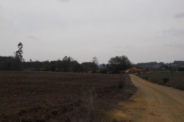 Erimsa Frades