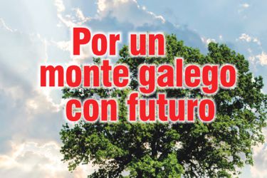 Manifestacion 20_O