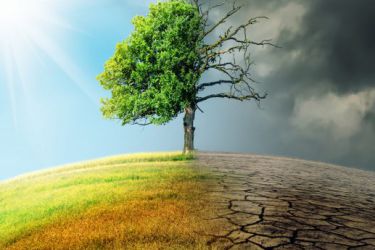 Cambio climático